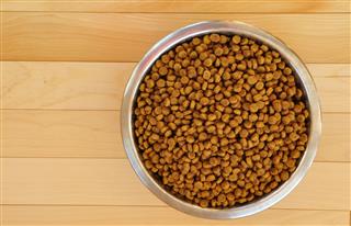 Dry Dog Food In Stainless Steel Bowl
