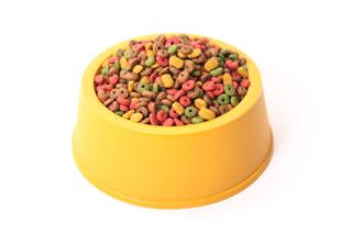 Yellow Dog Bowl With Food