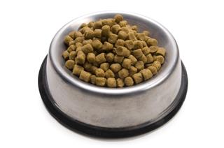 Dog Food Bowl Closeup