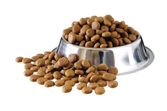 Dog Food In Bowl
