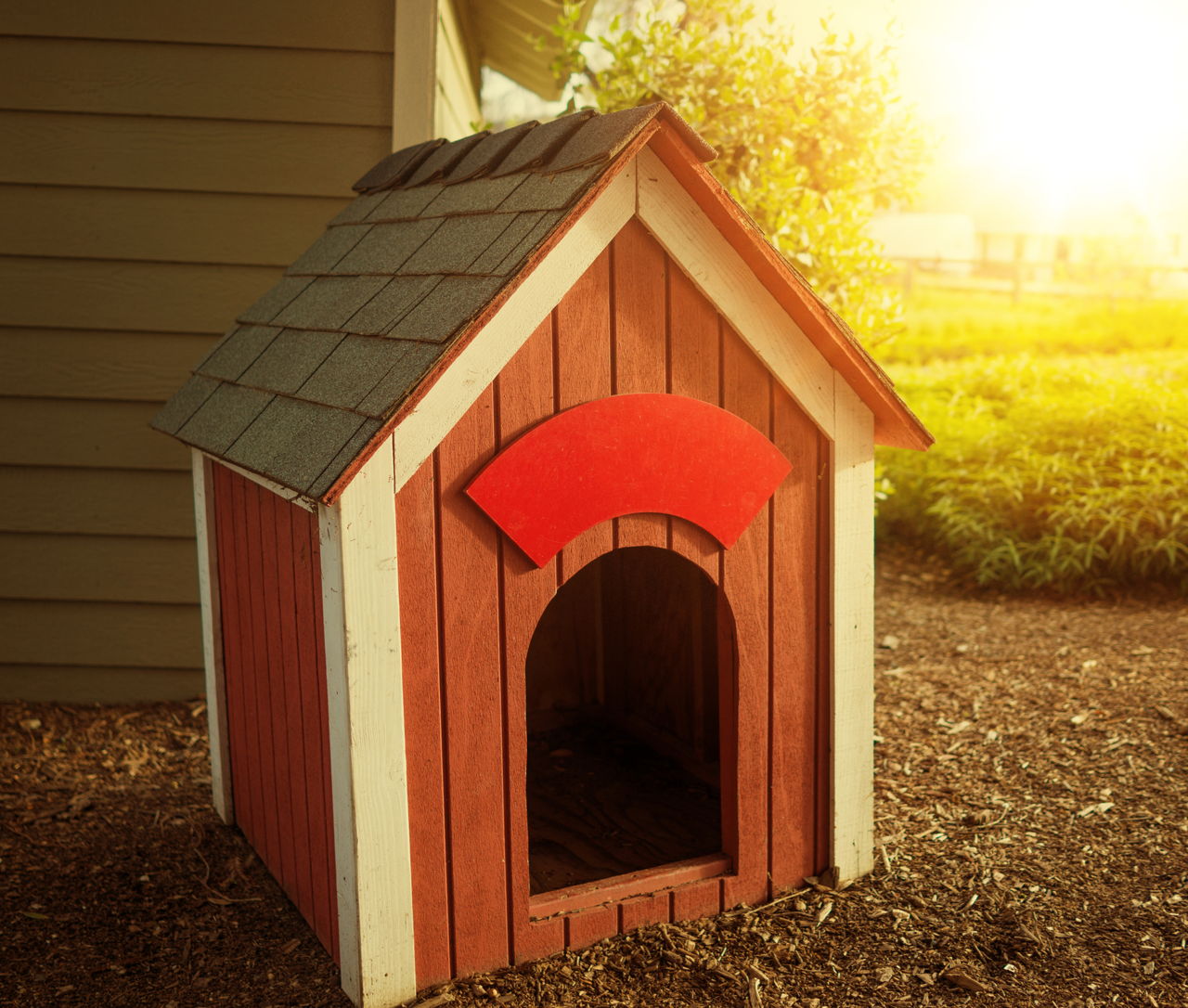 A Visual Guide on How to Build a Dog House in 8 Simple Steps