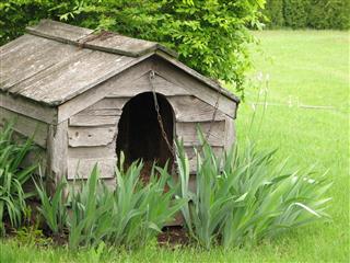 Weathered Wooden Dog House