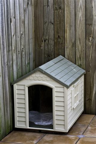 Plastic Dog House In Backyard