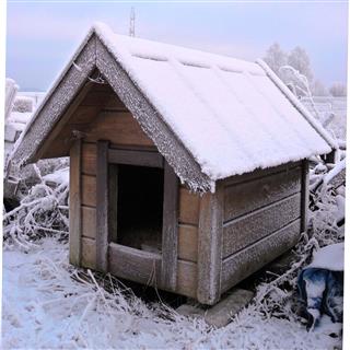 Doghouse Under The Snow