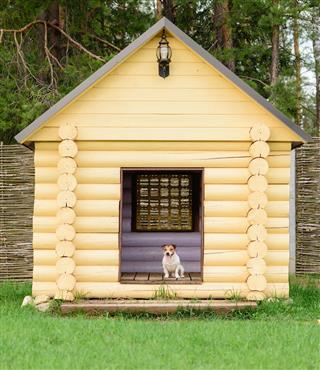 Pet Dog Sitting At Big Doghouse