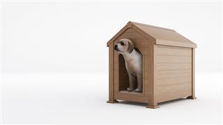 Wooden Dogs House Concept