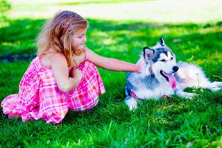 Girl With Siberian Husky Dog