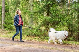 Female Walking With Dog In Forest