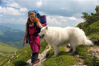 Backpacker Girl With Samoyed Dog