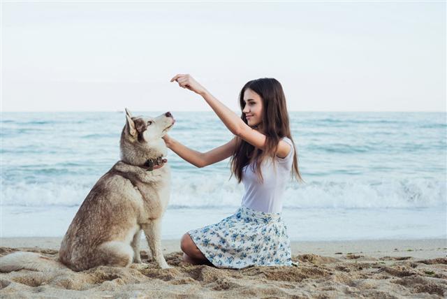 Girl Having Fun With Dog