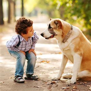 Little Cute Boy Playing With His Dog