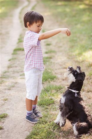 Little Boy Feeding His Dog