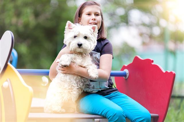 Girl With Westie On Playground