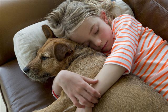 Girl And Dog Cuddling At Home