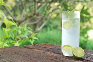 Fresh Cool Tonic With Lime Fruits
