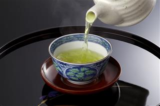 Japanese Green Tea In Porcelain Cup