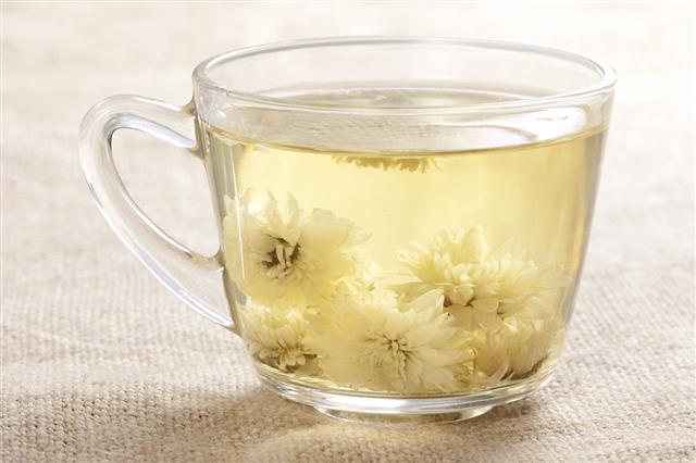 Chrysanthemum Tea With Flower