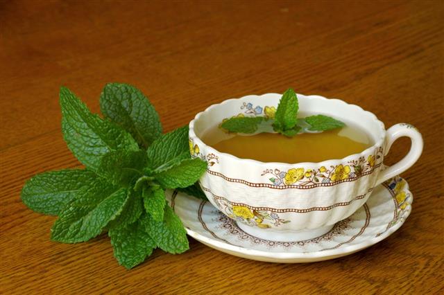 Mint Tea In Floral Cup