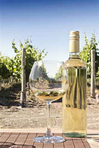 White Wine And Vineyard