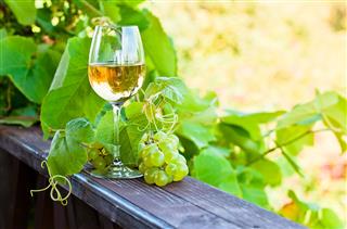 White Wine In Vineyard