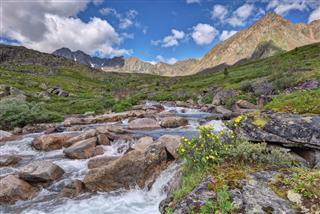 Small River In The Mountain Tundra