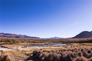 High Andean Tundra Landscape