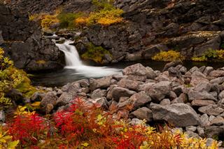 Waterfall In The Autumn Tundra