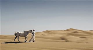 Walking A Horse In The Desert