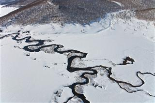 Meanders And Tributaries In Tundra