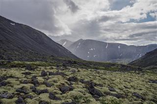 Mountain Tundra With Mosses