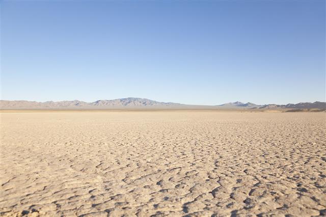 Desert Nevada Landscape