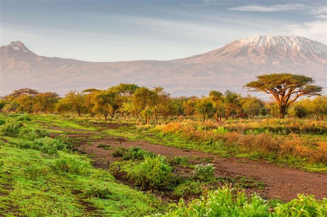 Mt Kilimanjaro And Mawenzi Peak