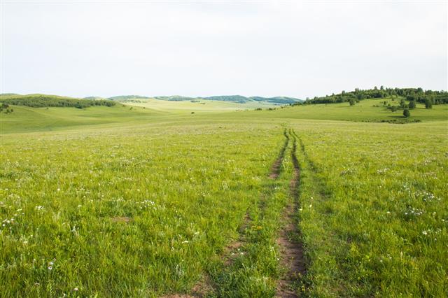 Road On The Prairie