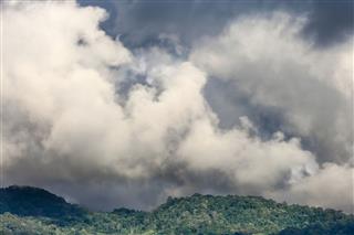 Cumulus Cloud Over Tropical Forest