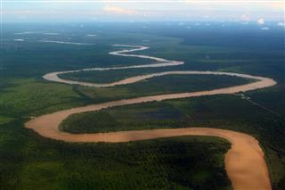 Borneo Muddy Brown River