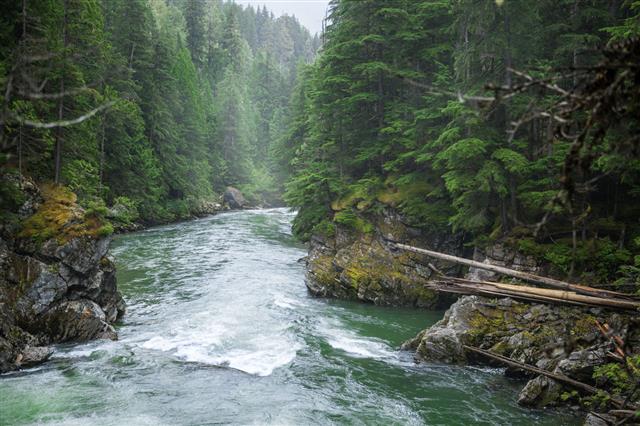 Seymour River In British Columbia