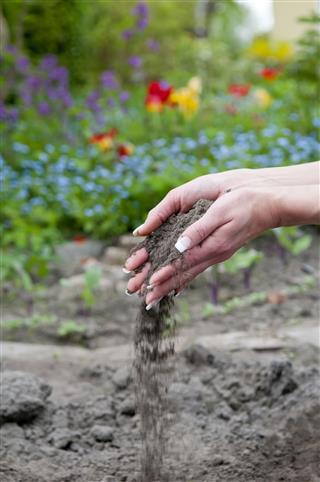 Hands With Soil