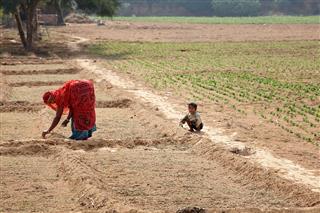 Indian Woman Tilling Soil With Son