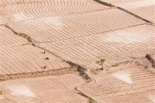 Aerial View Of Acres In India