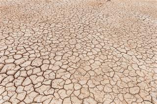 干旱季节裂纹土壤