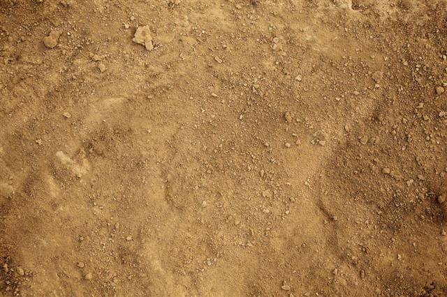 Background Of Earth And Dirt
