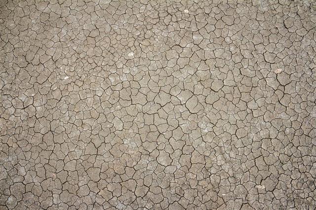Dried And Cracked Ground