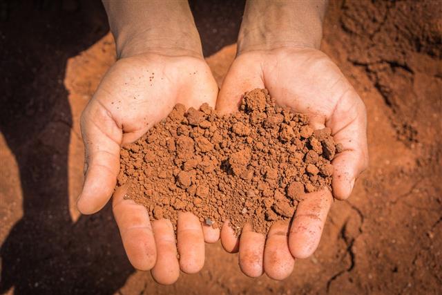 Dry Soil In Hands