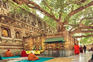 Prayers Sitting Around The Bodhi Tree