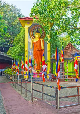 The Colorful Statue Of Lord Buddha