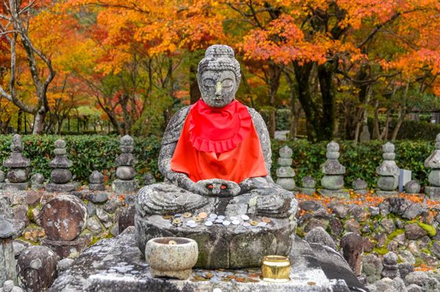Buddha Statue Japan
