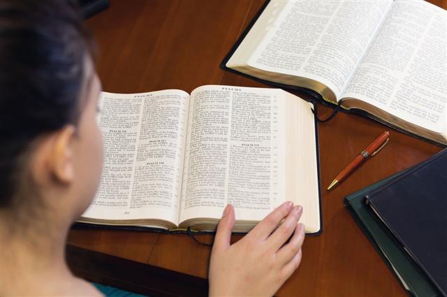 Young Lady Studying The Bible