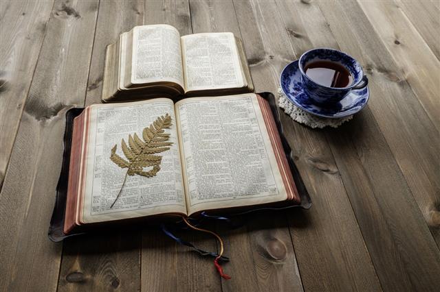 Morning Tea And Bibles