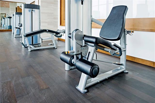 A Beginner's Guide to Gym Equipment Names and Terminology - Fitness Vigil
