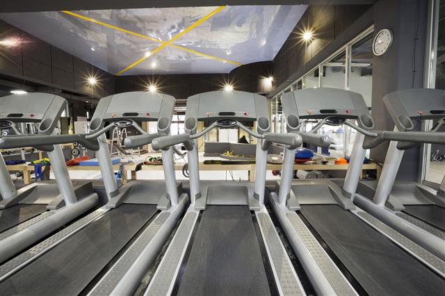 Treadmills In A Gym